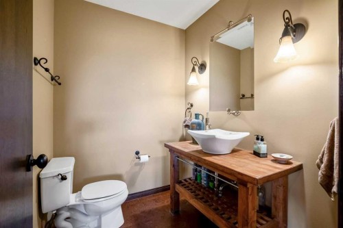 37 Wyndham Park Way, Carseland, AB - Indoor Photo Showing Bathroom