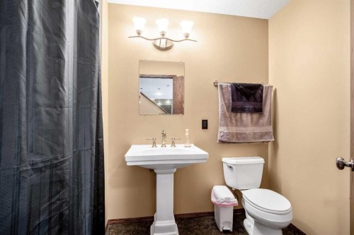 37 Wyndham Park Way, Carseland, AB - Indoor Photo Showing Bathroom