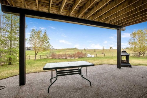 37 Wyndham Park Way, Carseland, AB - Outdoor With Deck Patio Veranda