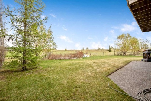 37 Wyndham Park Way, Carseland, AB - Outdoor