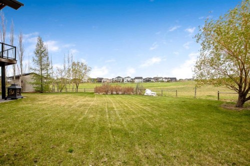 37 Wyndham Park Way, Carseland, AB - Outdoor With View