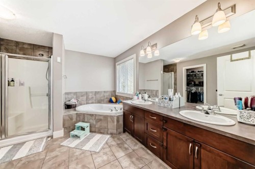 228 Cranston Drive Se, Calgary, AB - Indoor Photo Showing Bathroom