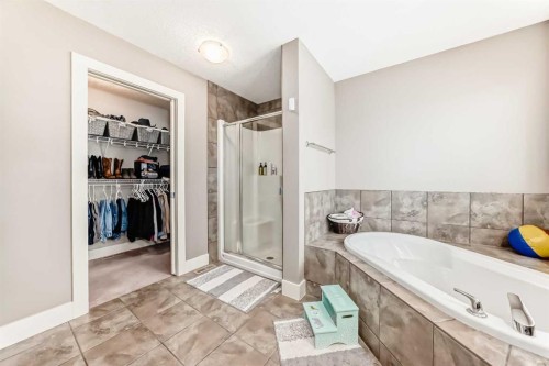 228 Cranston Drive Se, Calgary, AB - Indoor Photo Showing Bathroom