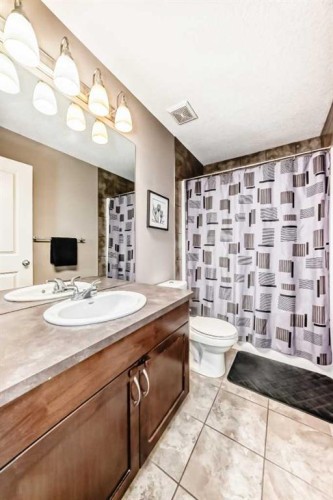228 Cranston Drive Se, Calgary, AB - Indoor Photo Showing Bathroom