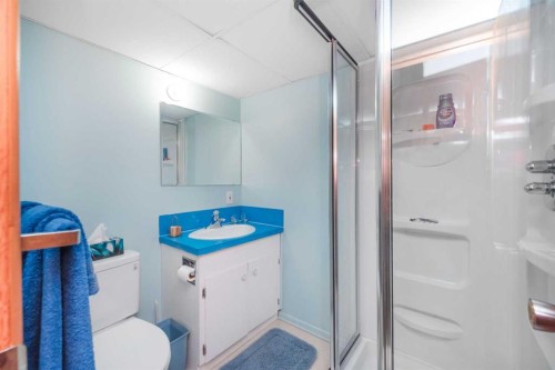 3623 54 Avenue Sw, Calgary, AB - Indoor Photo Showing Bathroom