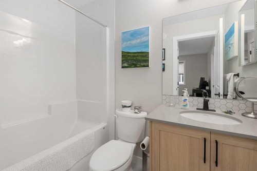 315 Wolf Creek Way Se, Calgary, AB - Indoor Photo Showing Bathroom