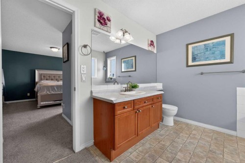 130 Morningside Point Sw, Airdrie, AB - Indoor Photo Showing Bathroom