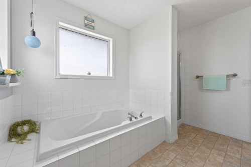 130 Morningside Point Sw, Airdrie, AB - Indoor Photo Showing Bathroom