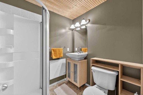 130 Morningside Point Sw, Airdrie, AB - Indoor Photo Showing Bathroom