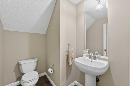 44 Mike Ralph Way Sw, Calgary, AB - Indoor Photo Showing Bathroom