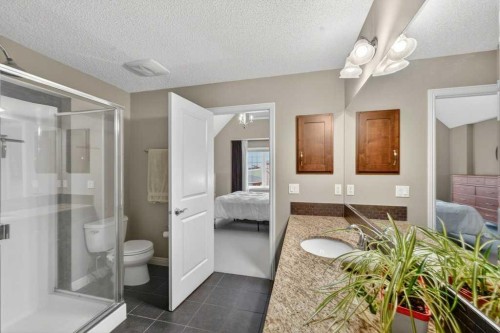 44 Mike Ralph Way Sw, Calgary, AB - Indoor Photo Showing Bathroom