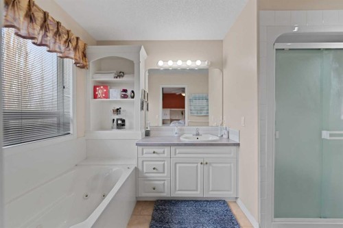 434 Douglas Woods Mews Se, Calgary, AB - Indoor Photo Showing Bathroom
