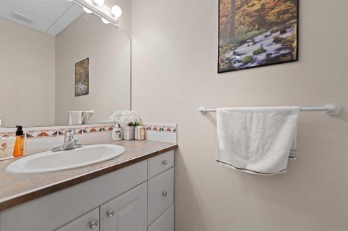 434 Douglas Woods Mews Se, Calgary, AB - Indoor Photo Showing Bathroom