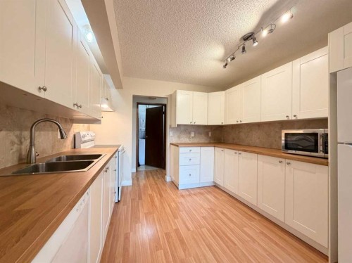 1-1202 2 Street Ne, Calgary, AB - Indoor Photo Showing Kitchen With Double Sink