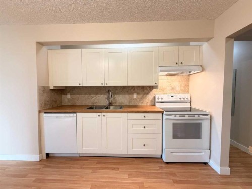 1-1202 2 Street Ne, Calgary, AB - Indoor Photo Showing Kitchen With Double Sink