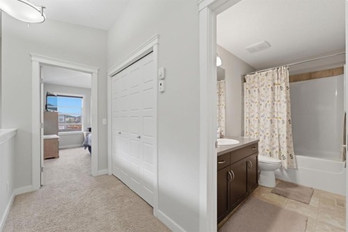 22 Redstone Road Ne, Calgary, AB - Indoor Photo Showing Bathroom