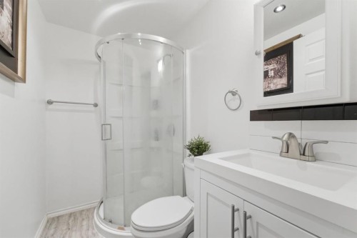 22 Redstone Road Ne, Calgary, AB - Indoor Photo Showing Bathroom