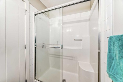109 Redstone Circle Ne, Calgary, AB - Indoor Photo Showing Bathroom