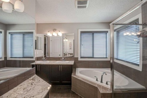 29 Drake Landing Loop, Okotoks, AB - Indoor Photo Showing Bathroom