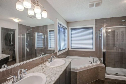 29 Drake Landing Loop, Okotoks, AB - Indoor Photo Showing Bathroom