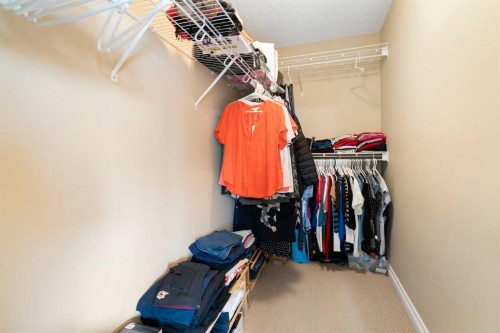 249 Springmere Way, Chestermere, AB - Indoor With Storage