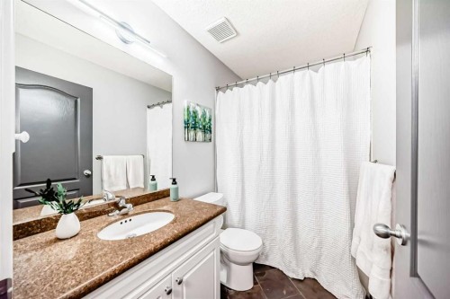 260 Westchester Way, Chestermere, AB - Indoor Photo Showing Bathroom