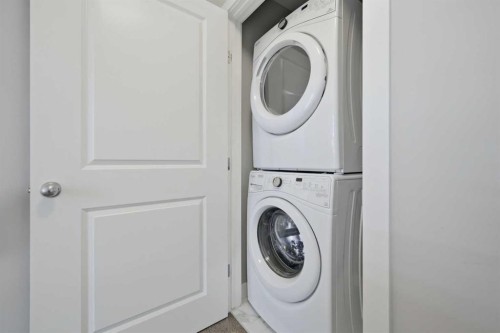 341 Midtown Gate Sw, Airdrie, AB - Indoor Photo Showing Laundry Room