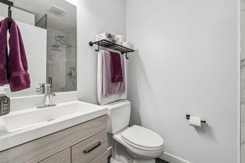 2219 Munro Drive Ne, Calgary, AB - Indoor Photo Showing Bathroom