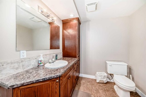 34054 Range Road 15, Rural Red Deer County, AB - Indoor Photo Showing Bathroom