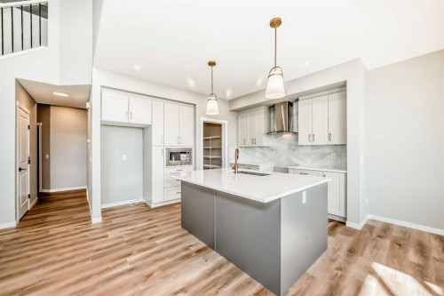 103 Mercado Crescent Se, Calgary, AB - Indoor Photo Showing Kitchen With Upgraded Kitchen