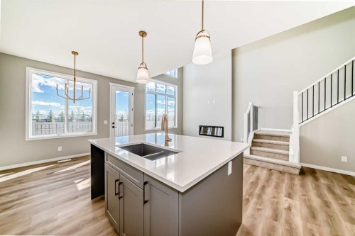 103 Mercado Crescent Se, Calgary, AB - Indoor Photo Showing Kitchen With Double Sink