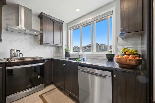 4065 Cornerstone Boulevard Ne, Calgary, AB - Indoor Photo Showing Kitchen With Stainless Steel Kitchen With Upgraded Kitchen