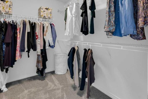 42 River Rock Green Se, Calgary, AB - Indoor With Storage