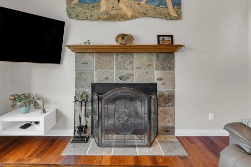42 River Rock Green Se, Calgary, AB - Indoor With Fireplace