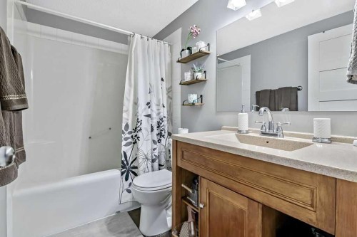 56 Mt Aberdeen Close Se, Calgary, AB - Indoor Photo Showing Bathroom