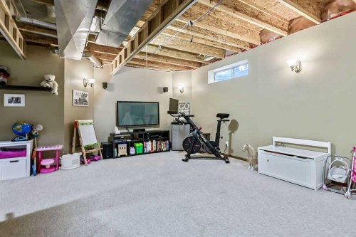 56 Mt Aberdeen Close Se, Calgary, AB - Indoor Photo Showing Basement