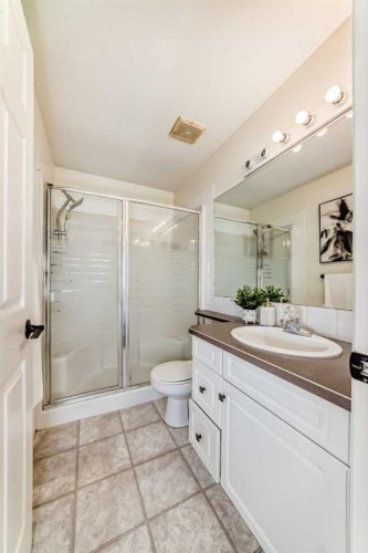 262 Coventry Court Ne, Calgary, AB - Indoor Photo Showing Bathroom