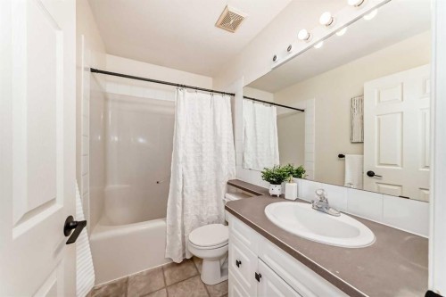 262 Coventry Court Ne, Calgary, AB - Indoor Photo Showing Bathroom