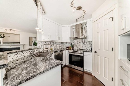 262 Coventry Court Ne, Calgary, AB - Indoor Photo Showing Kitchen With Upgraded Kitchen