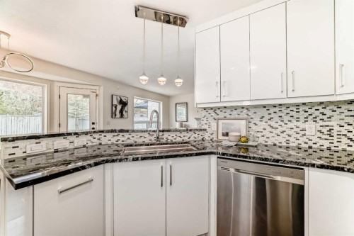 262 Coventry Court Ne, Calgary, AB - Indoor Photo Showing Kitchen With Upgraded Kitchen