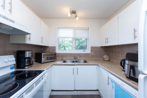 95 Castleridge Close Ne, Calgary, AB - Indoor Photo Showing Kitchen With Double Sink