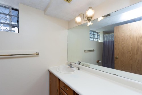 95 Castleridge Close Ne, Calgary, AB - Indoor Photo Showing Bathroom