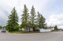 95 Castleridge Close Ne, Calgary, AB  - Outdoor 