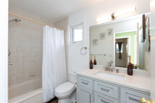 95 Castleridge Close Ne, Calgary, AB - Indoor Photo Showing Bathroom