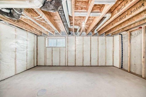 55 Belgian Crescent, Cochrane, AB - Indoor Photo Showing Basement