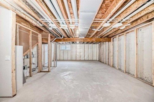 55 Belgian Crescent, Cochrane, AB - Indoor Photo Showing Basement