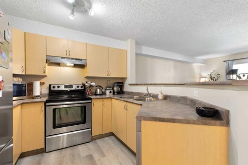 2320-2371 Eversyde Avenue Sw, Calgary, AB - Indoor Photo Showing Kitchen With Stainless Steel Kitchen With Double Sink