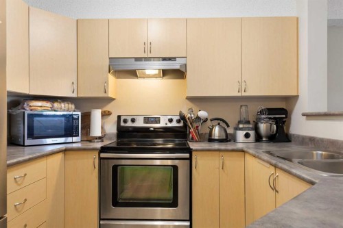 2320-2371 Eversyde Avenue Sw, Calgary, AB - Indoor Photo Showing Kitchen With Stainless Steel Kitchen With Double Sink
