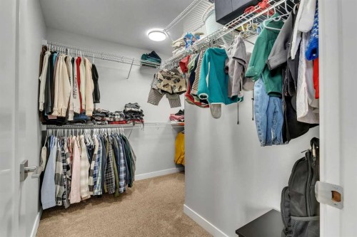 152 Savanna Way Ne, Calgary, AB - Indoor With Storage