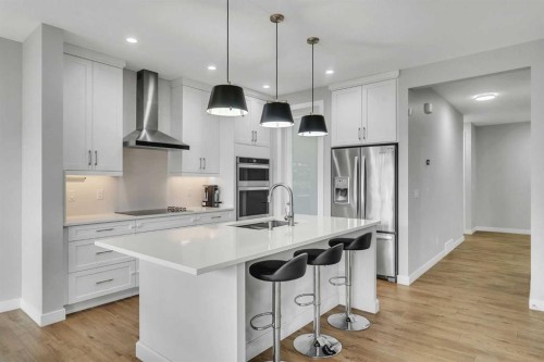 152 Savanna Way Ne, Calgary, AB - Indoor Photo Showing Kitchen With Double Sink With Upgraded Kitchen